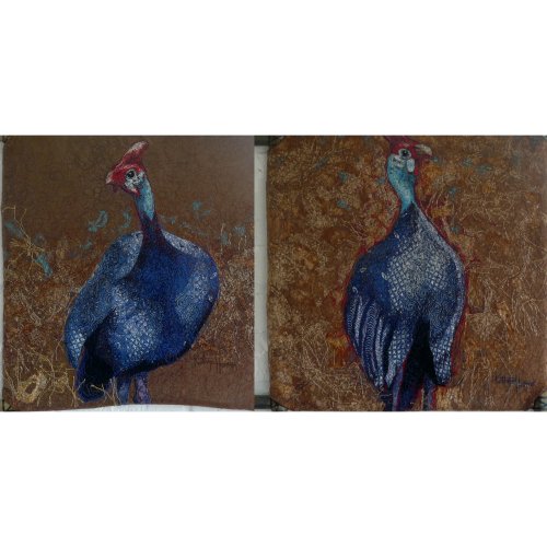 Swe-Swe Guinea Fowl